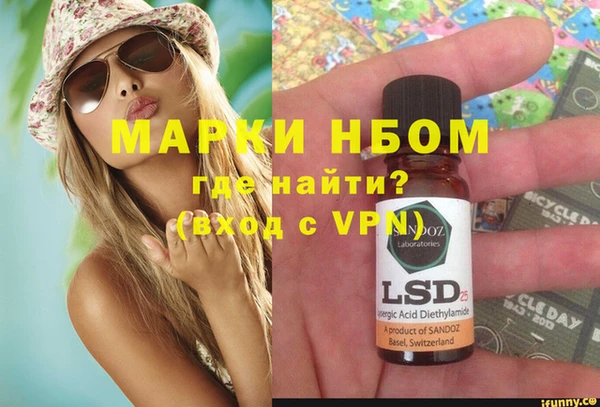 шишки Баксан