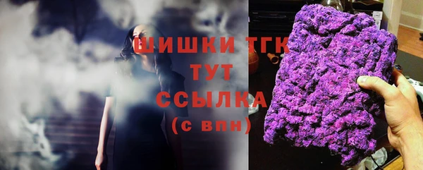 шишки Баксан